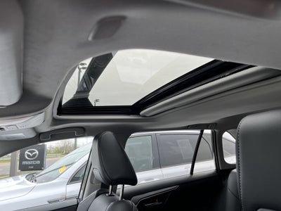 2023 Toyota RAV4 XLE Premium AWD