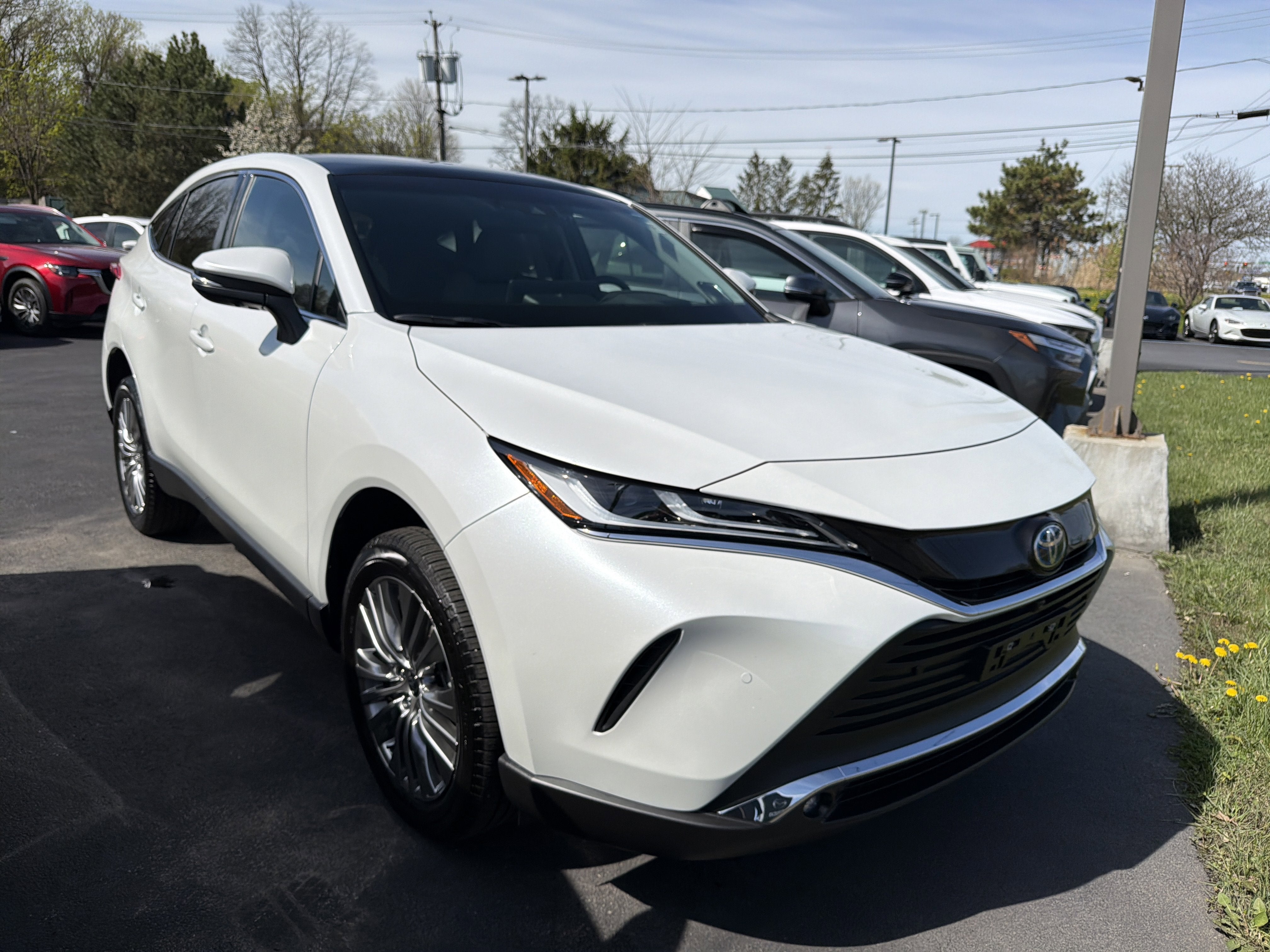 2023 Toyota Venza Limited