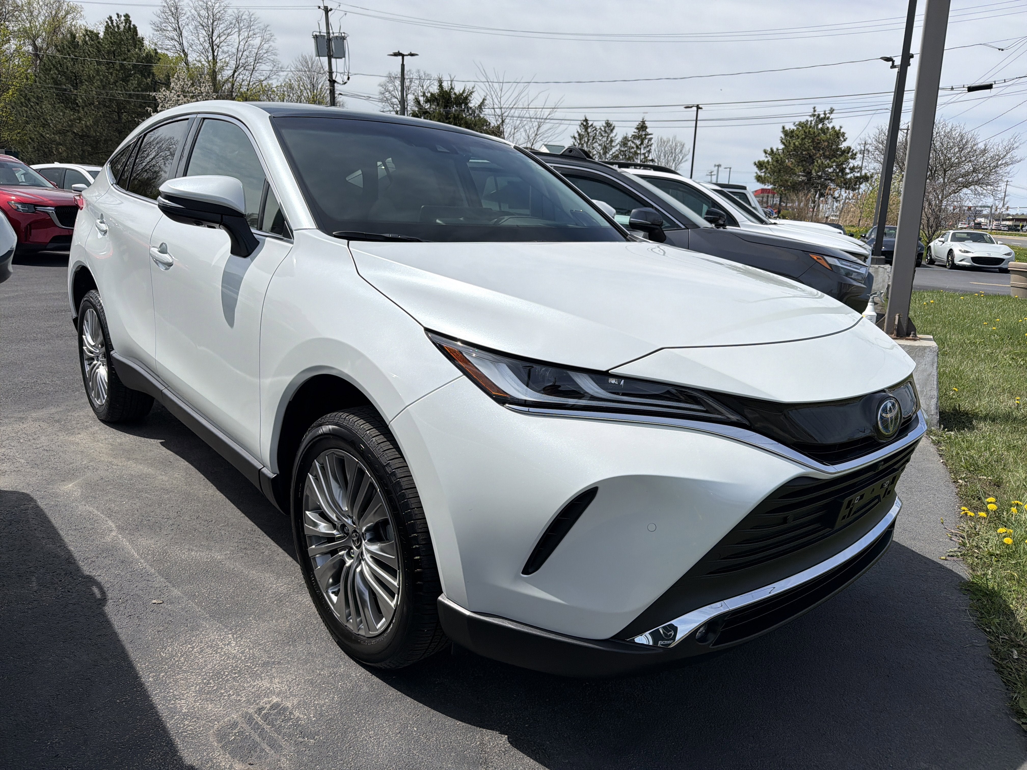 2023 Toyota Venza Limited